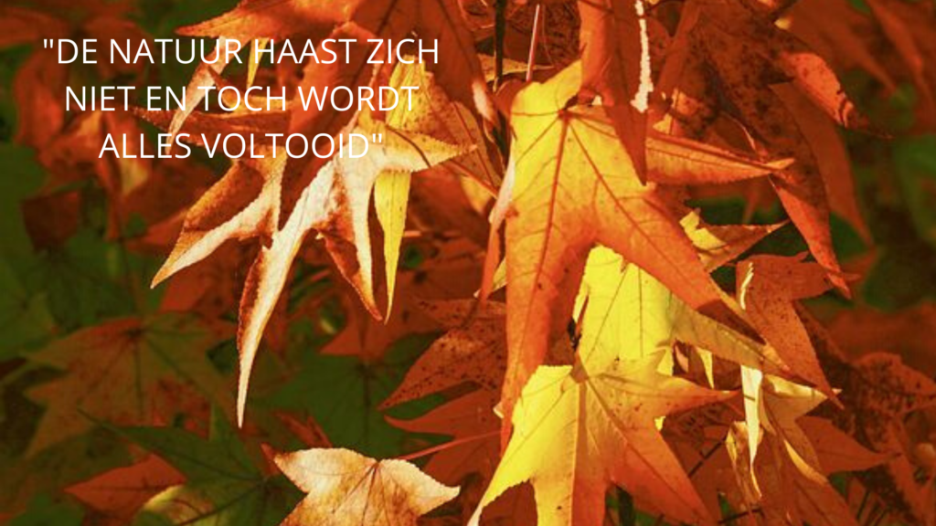 herfst